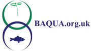 BAQUA