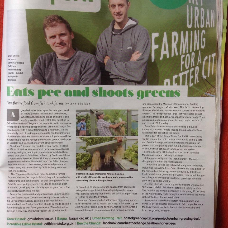 11295776_810975635664300_9068527111470490414_n